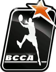 https://img.wfszsj.com/img/basketball/team/86eb4908777714248caec71cbbc0c7db.png