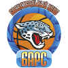 https://img.wfszsj.com/img/basketball/team/9008e0eb5cdc9f3e587e5838c6201832.png