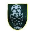 https://img.wfszsj.com/img/football/team/12b8da6e816dbb52eef7ed7e5e831445.png