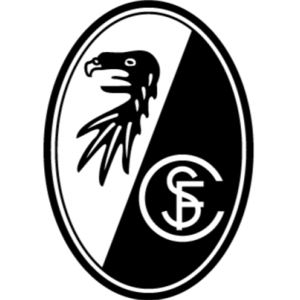 https://img.wfszsj.com/img/football/team/6508946c9a5fe22a8784b905b25e8c79.png