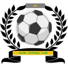 https://img.wfszsj.com/img/football/team/6dc6d59af2f0962597b412473a6708ee.png