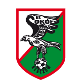 https://img.wfszsj.com/img/football/team/e6a8908dd206e2ea02d9803c82c60bba.png